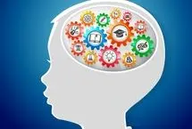 یادگیری چگونه در مغز شکل می‌گیرد؟