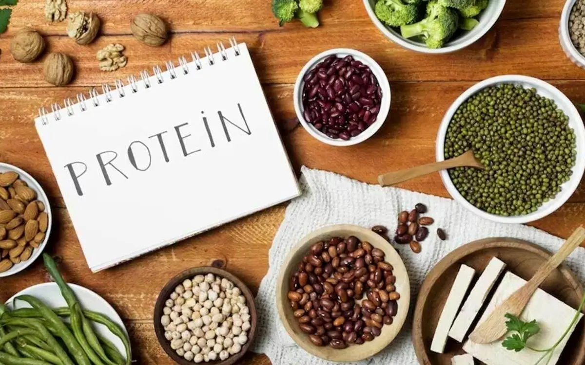 بهترین منابع پروتئین برای زنان بالای ۴۰ سال