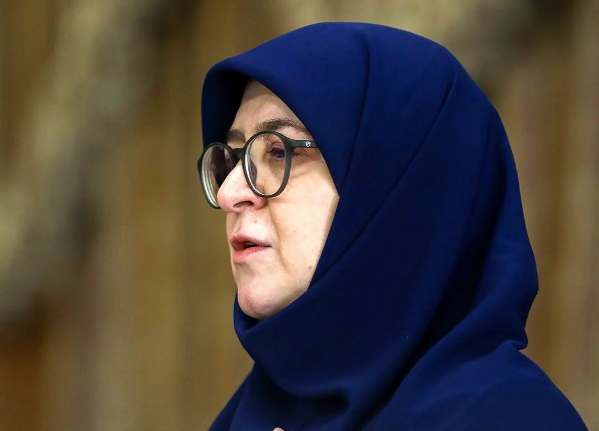 مهاجرانی: نگاه دولت در زیست فرهنگی، احترام به شادی‌ جمعی است