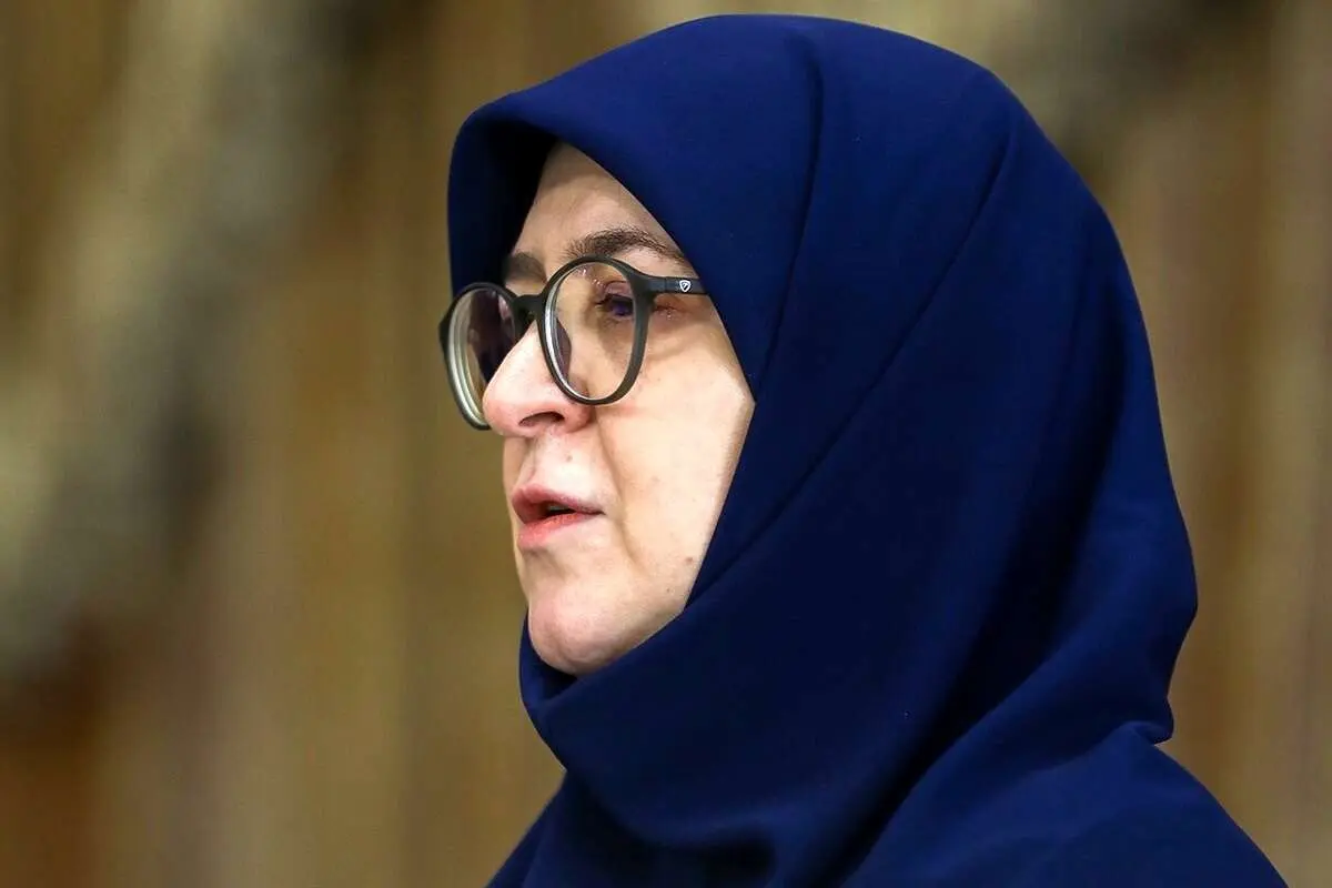 مهاجرانی: نگاه دولت در زیست فرهنگی، احترام به شادی‌ جمعی است