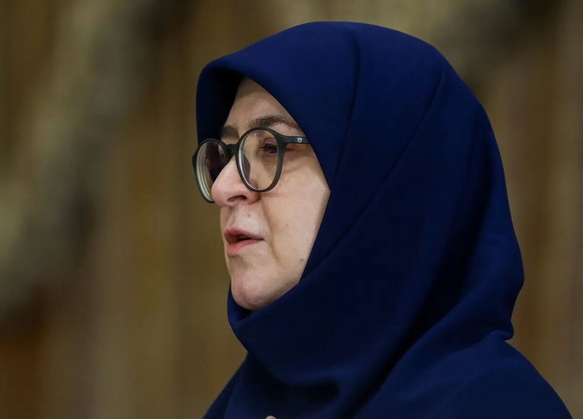 مهاجرانی: نگاه دولت در زیست فرهنگی، احترام به شادی‌ جمعی است