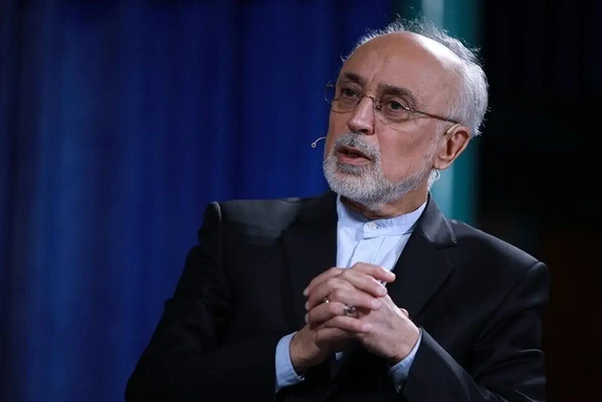 علی اکبر صالحی: سعدی نماینده خرد و سخن ایران است