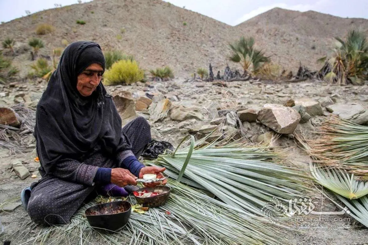 تصاویر؛ پیش چینی و جمع آوری هیزم توسط زنان بشاگردی