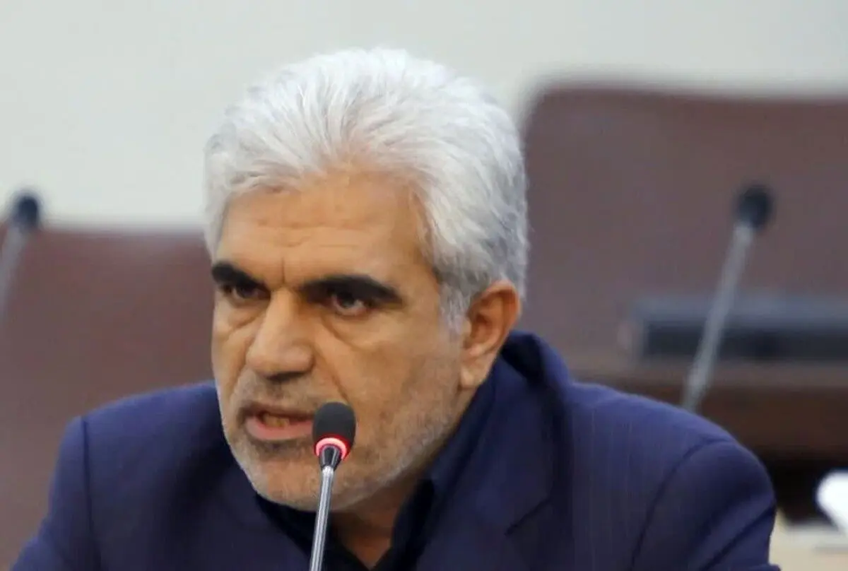 نماینده مجلس: هزینه‌های انتخاباتی‌ام را مردم دادند، یکی پنیر آورد، یکی برنج آورد...