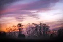 تفال به حافظ دوشنبه ۸ اردیبهشت ۱۴۰۴؛ دیدی‌ای دل که غم عشق دگربار چه کرد...