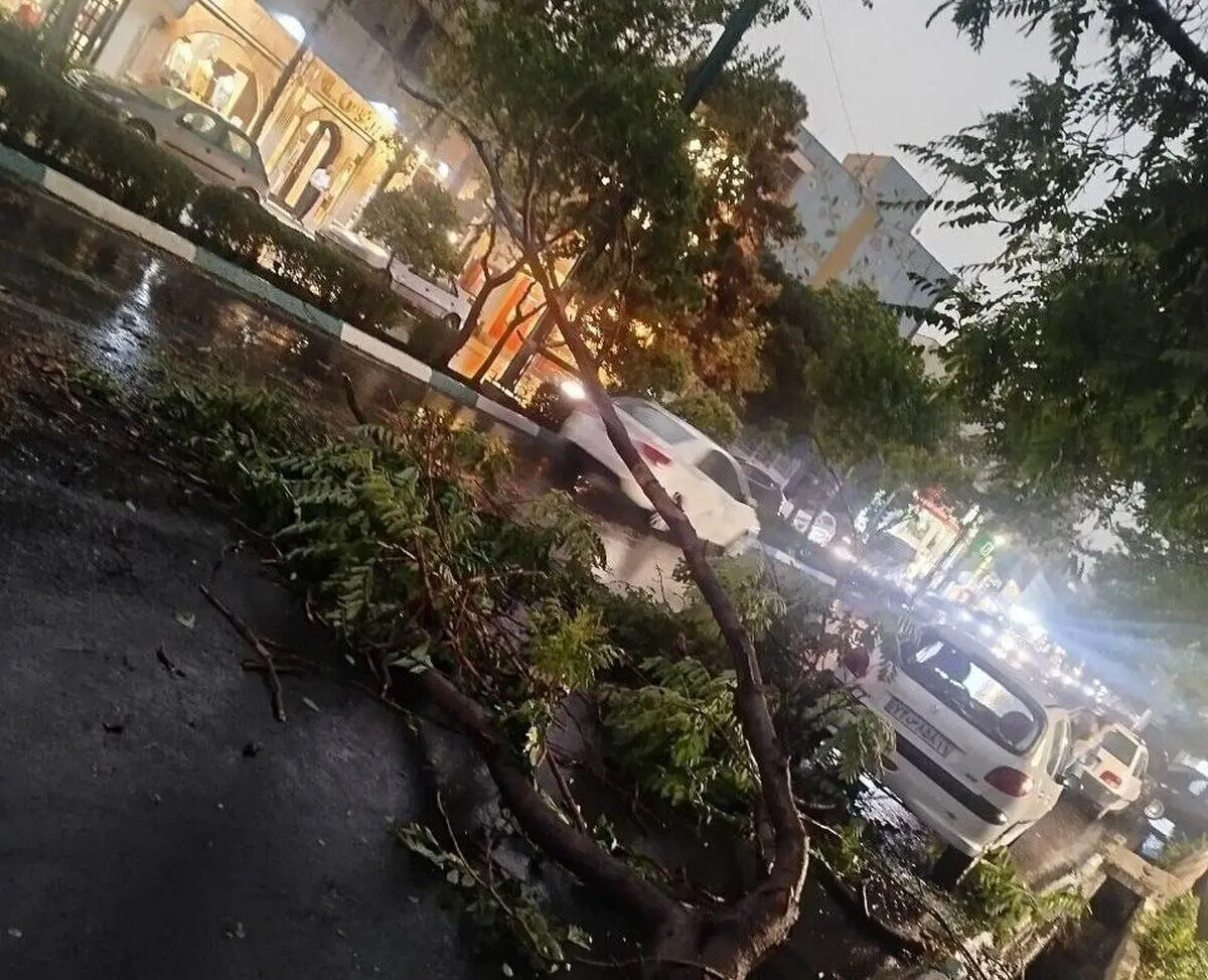 طوفان در تهران ۶ زخمی برجا گذاشت