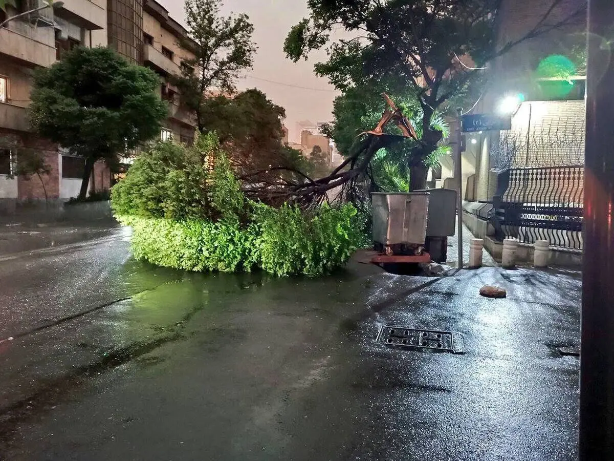 طوفان در تهران یک کشته و ٢۴ نفر زخمی برجا گذاشت
