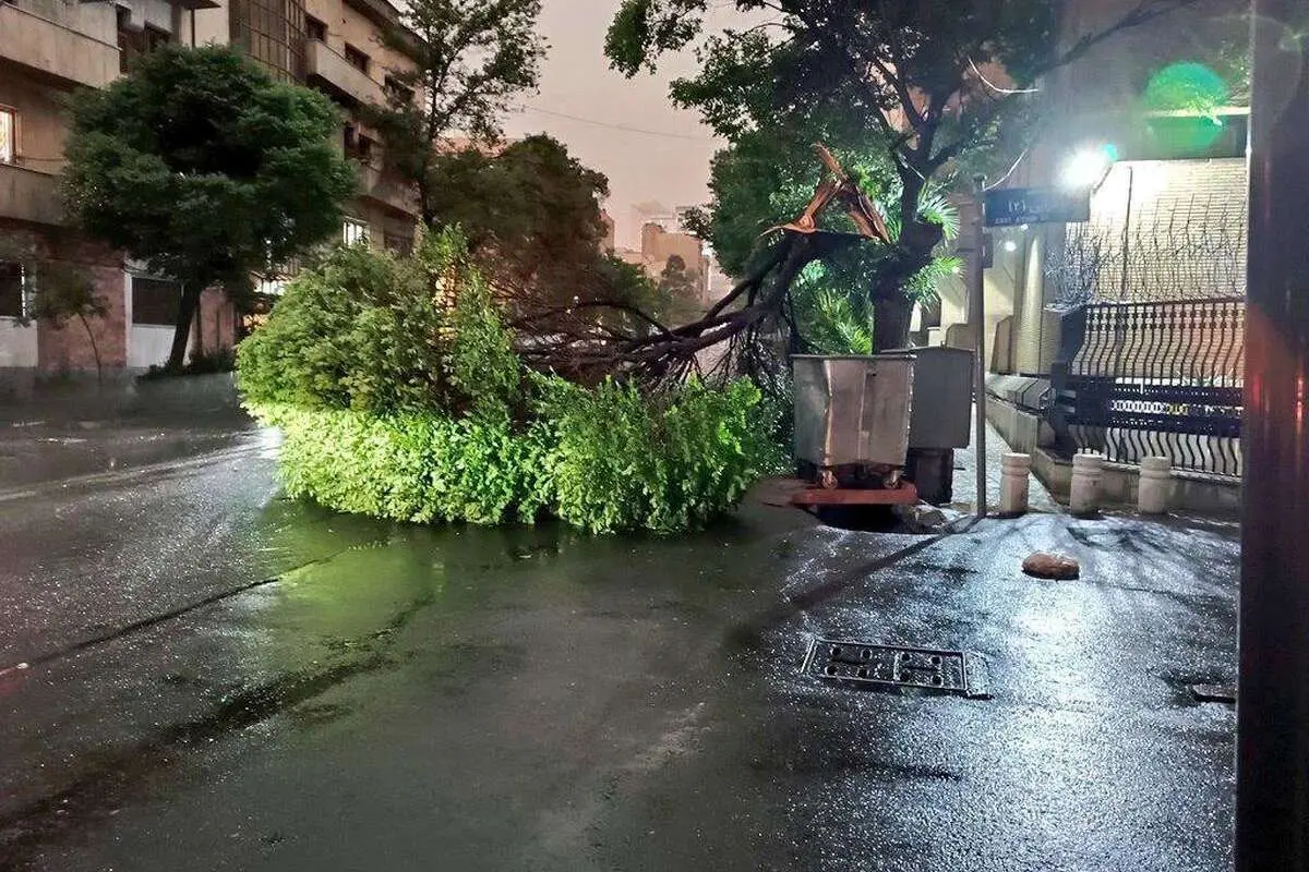 طوفان در تهران یک کشته و ٢۴ نفر زخمی برجا گذاشت