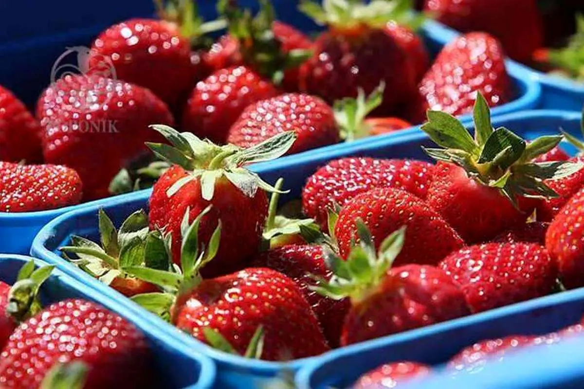 چرا غذای این رنگی دوست دارید؟