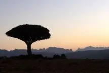 تفال به حافظ سه شنبه ۹ اردیبهشت ۱۴۰۴؛ دوش وقت سحر از غصه نجاتم دادند....