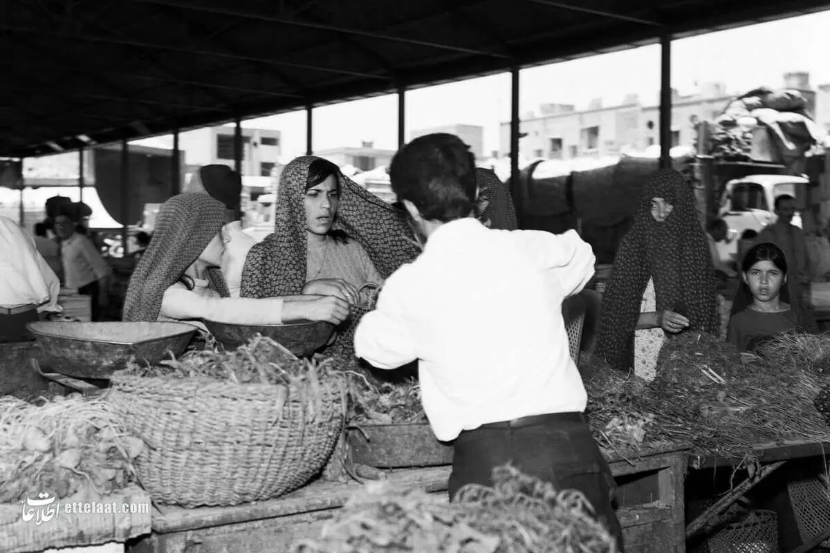 تصویر؛ ۷۰ سال پیش؛ افتتاح اولین میدان میوه و تره‌بار شهرداری تهران