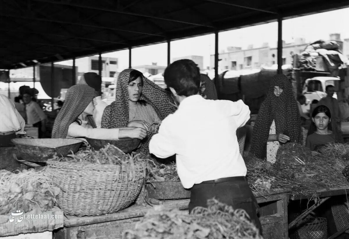 تصویر؛ ۷۰ سال پیش؛ افتتاح اولین میدان میوه و تره‌بار شهرداری تهران