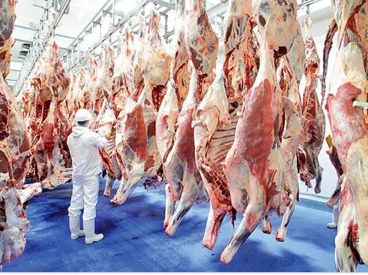 قیمت گوشت قرمز امروز ۹ اردیبهشت ۱۴۰۴؛ شقه گوسفندی چند؟