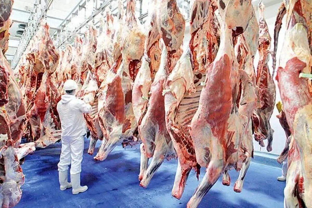 قیمت گوشت قرمز امروز ۹ اردیبهشت ۱۴۰۴؛ شقه گوسفندی چند؟
