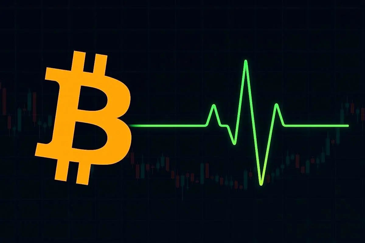ثبت رکورد جدید برای بیتکوین