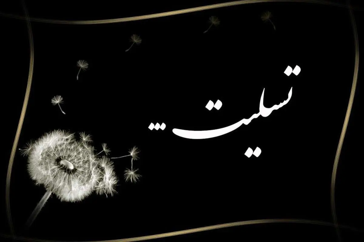 درگذشت ناگوار دروازه‌بان ۱۱ ساله و پرسپولیسی
