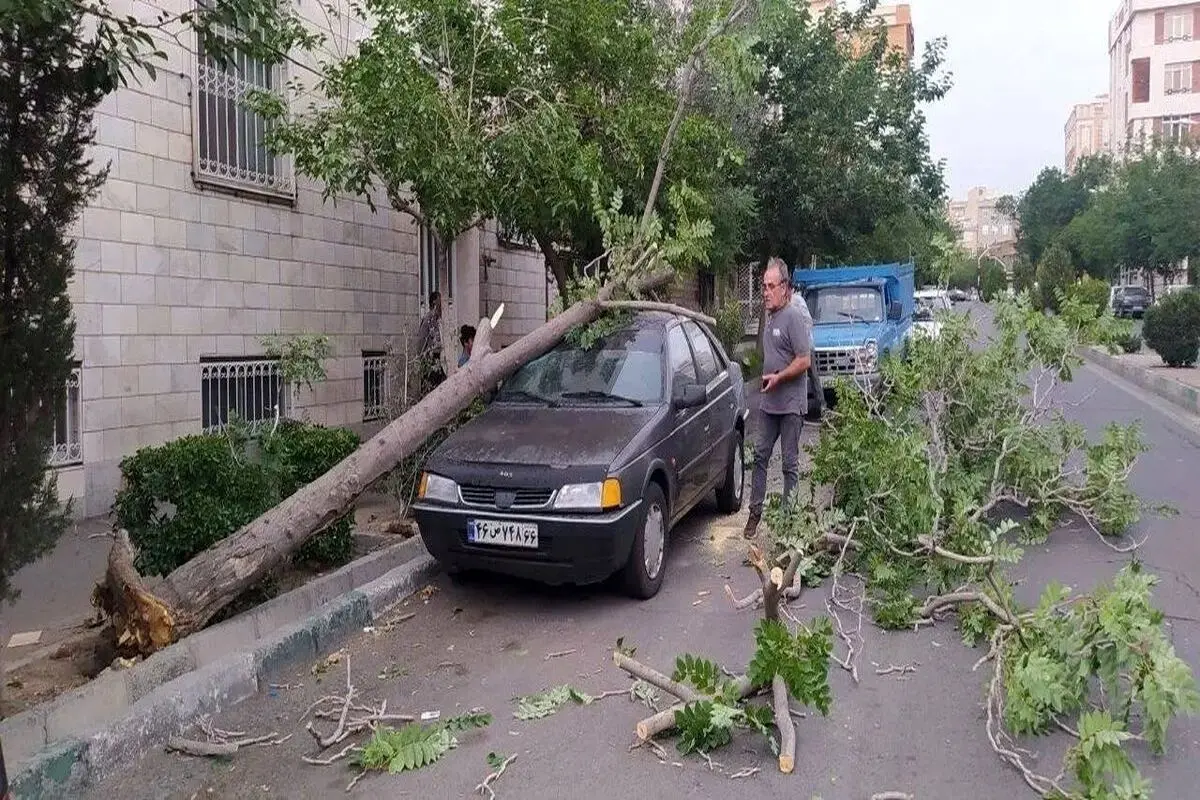 تمهیدات اورژانس در برابر طوفان تهران؛ توصیه‌های مهم به شهروندان