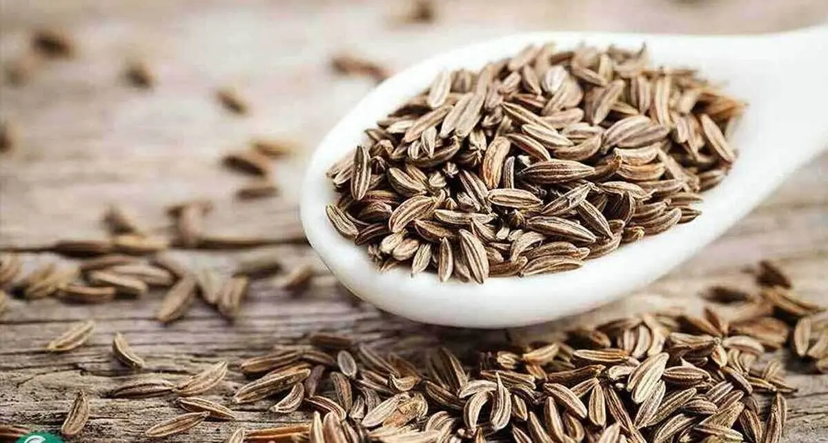 این داروی گیاهی خواص ضد سرطان دارد
