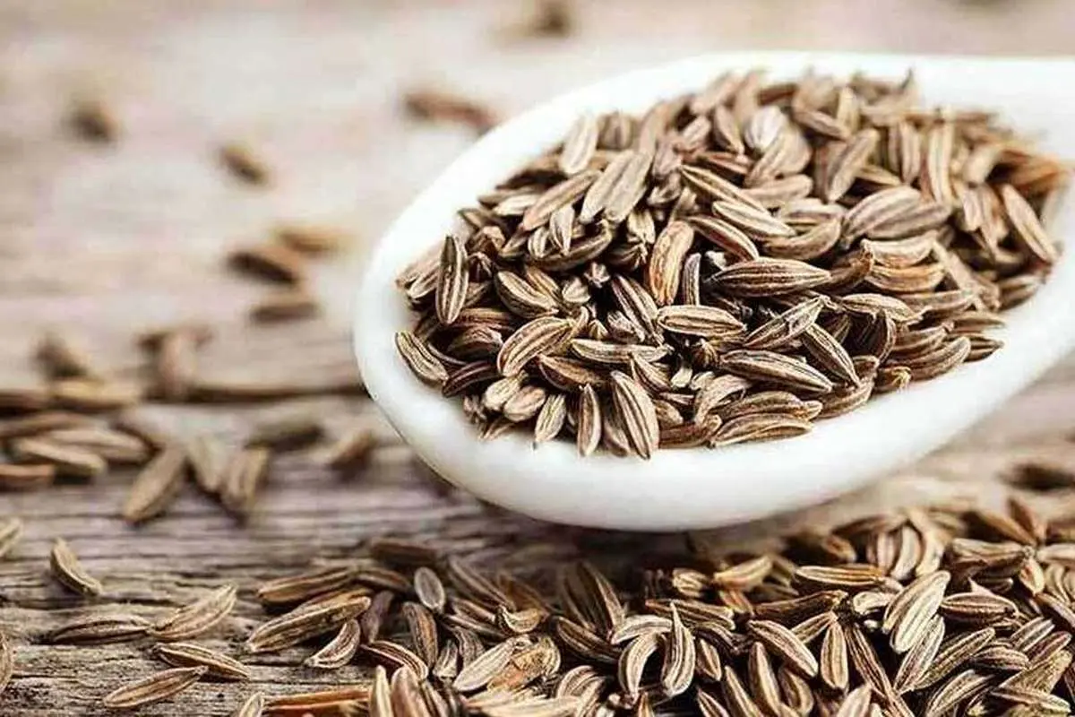 این داروی گیاهی خواص ضد سرطان دارد