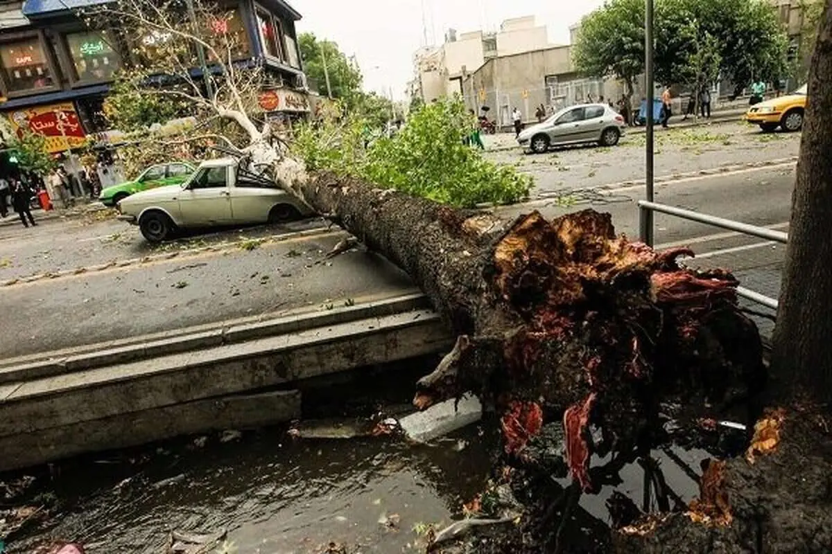 طوفان شب گذشته تهران چند مصدوم داشت؟