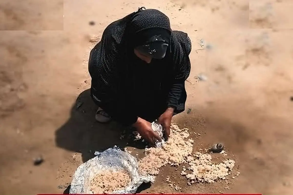 ببینید؛ زن فلسطینی در غزه باقیماندههای غذا را از زمین جمع میکند