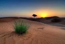 تفال به حافظ یکشنبه ۱۴ اردیبهشت ۱۴۰۴؛ سال‌ها پیروی مذهب رندان کردم....