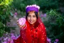 تصاویر؛ گل و گلاب میمند