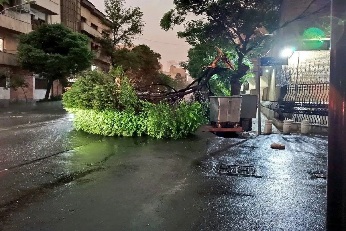 تصاویری از شدت طوفان در جنوب تهران