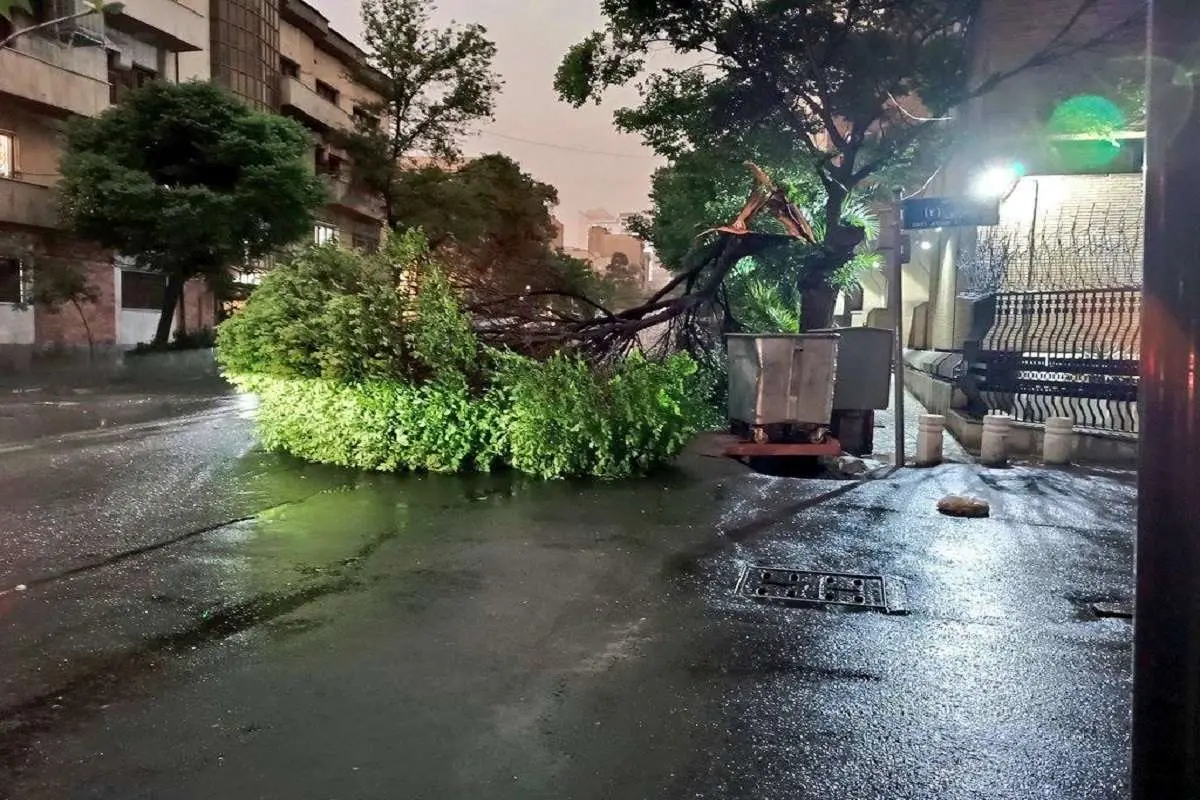 تصاویری از شدت طوفان در جنوب تهران