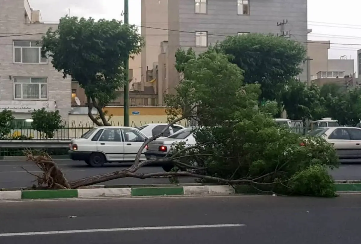 آماده‌باش اورژانس برای طوفان شبانه پایتخت