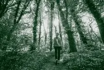 کشف تازه: تمرین تجسمی ساده برای نابودی استرس در ۵ دقیقه
