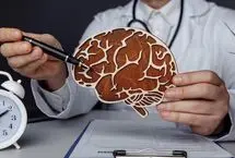 آیا می‌توان مغز را آموزش داد تا باهوش‌تر شود؟