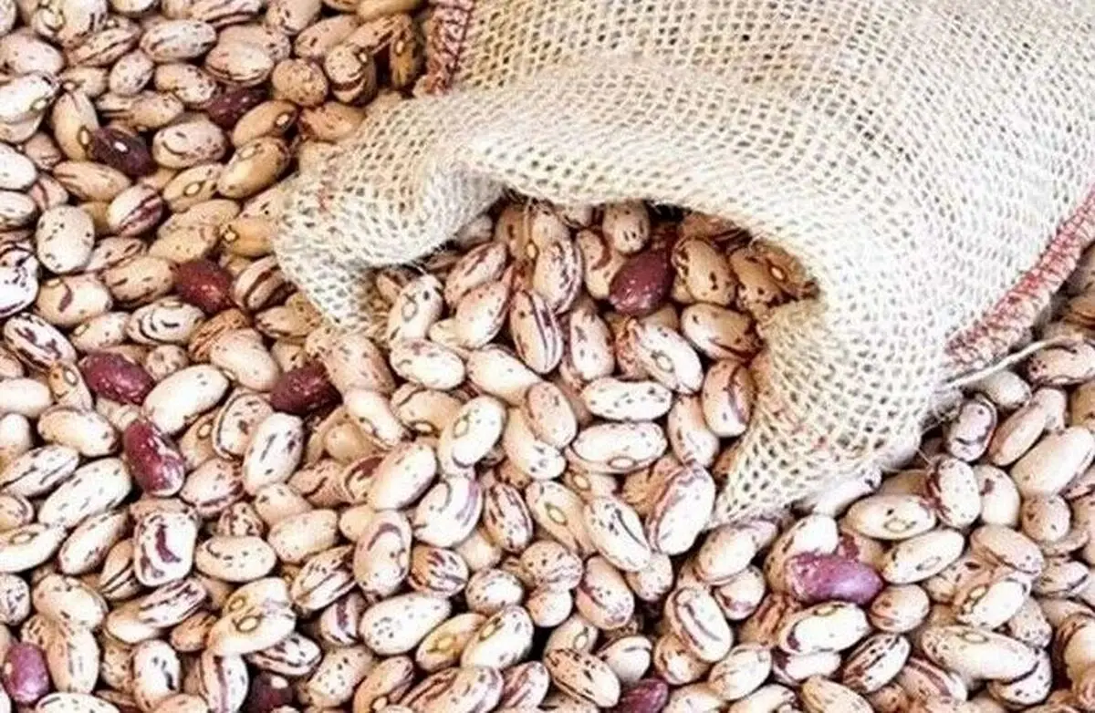 «حباب» به حبوبات رسید!