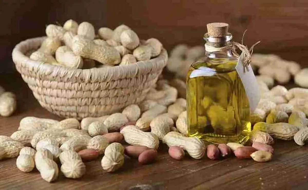 این روغن معجزه می‌کند؛ از خواص ضد پیری تا بهبود عملکرد مغز
