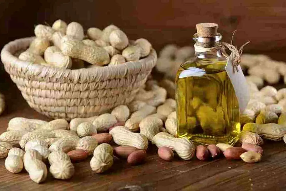 این روغن معجزه میکند؛ از خواص ضد پیری تا بهبود عملکرد مغز
