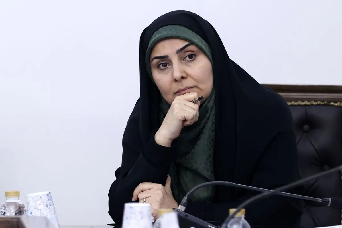 گناه همه سازمان‌ها و وزارتخانه‌ها را گردن فرزانه صادق انداخته‌اند