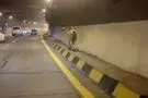 حضور یک اسب وحشی در تونل آزادراه تهران ـ شمال!