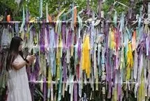 تصاویر؛ دو کره همچنان پشت دیوار جنگ و جدایی