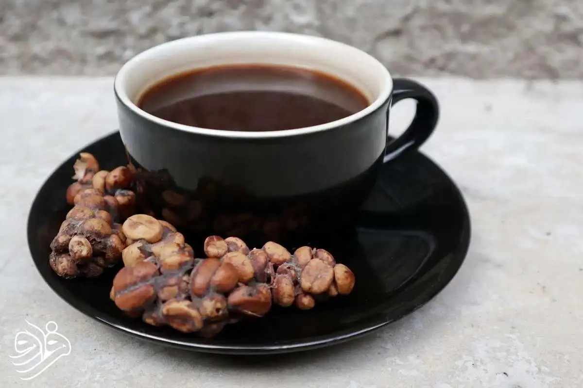 گران‌ترین قهوه جهان که از مدفوع یک پستاندار تولید می‌شود!