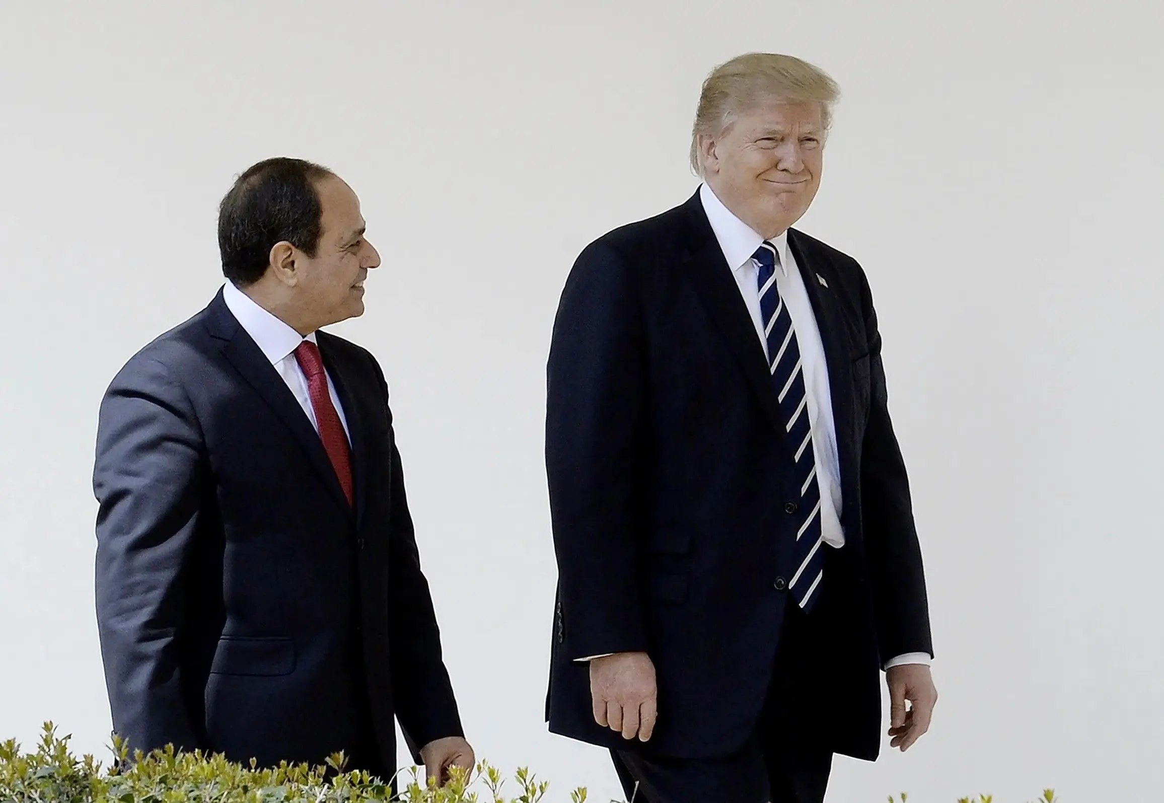 ترامپ هنوز «مرد فوق‌ العاده» مصر را دوست دارد