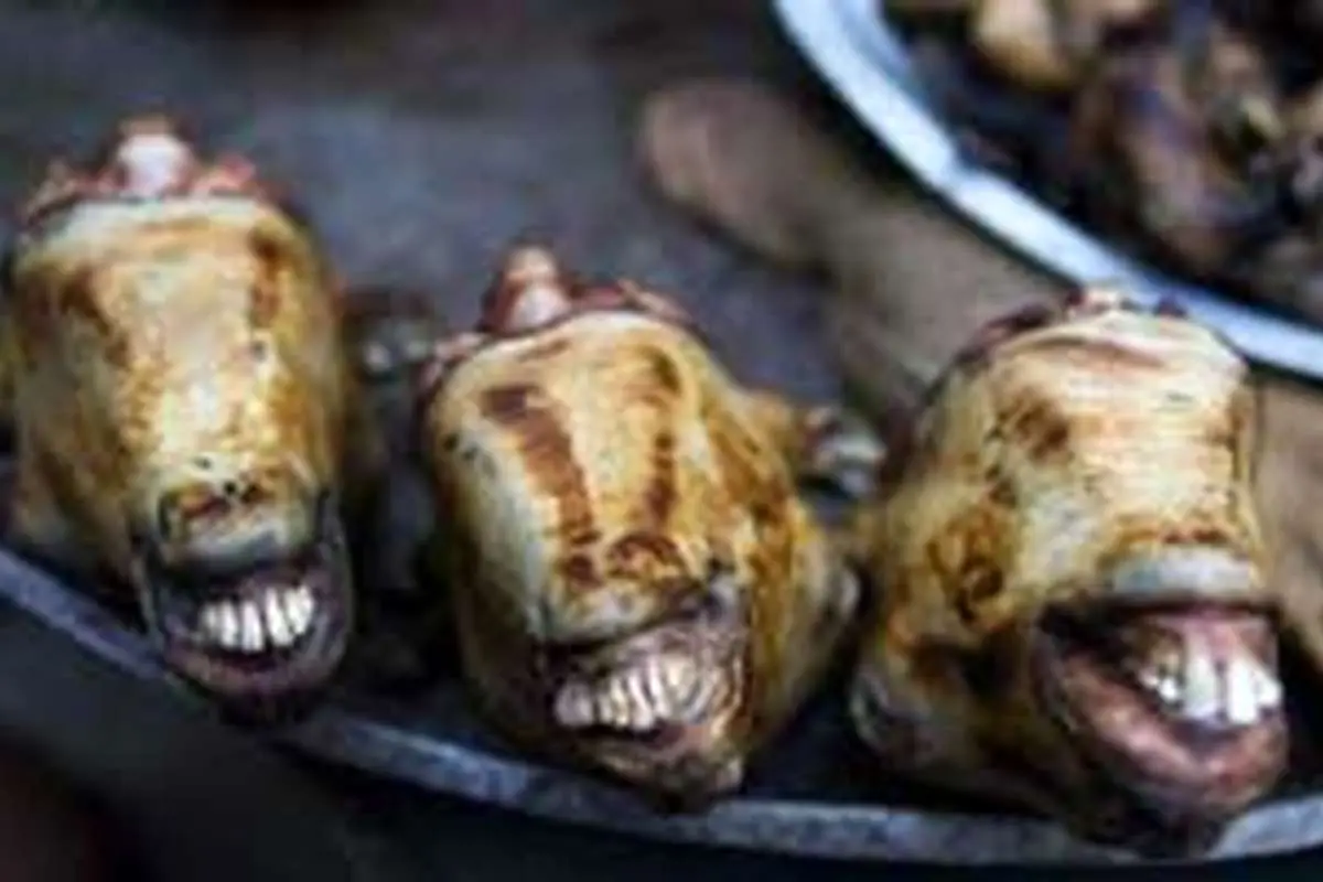 زندهباد گوسپند، مردهباد بز!