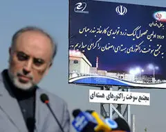 خودکفایی ایران در تولید کیک زرد