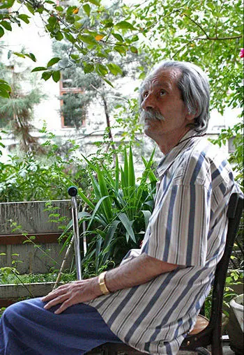 آخرین عکس‌های شمس آل احمد