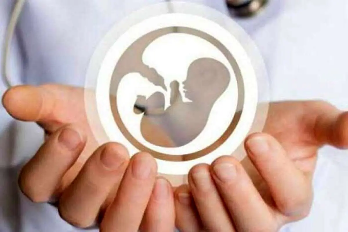 از نور اتاق جراحی تا سایه زیرزمین؛ روایت زنانی که تنها ماندند