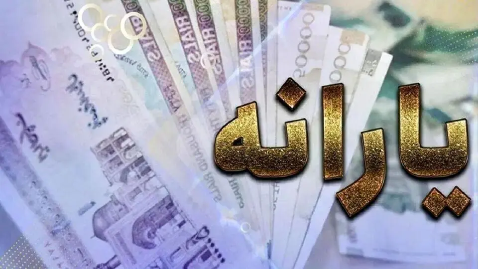 انتقاد تند از سیاست یارانه‌ای دولت: می‌خواهید تورم را با یارانه درمان کنید