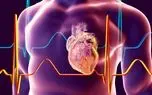 دانشمندان بافت قلب را دوباره جوان کردند!