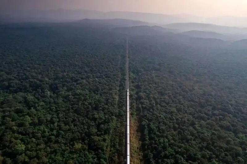 تصاویر حیات وحش ۲۰۲۵