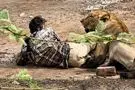 ۳۰ دقیقه وحشت؛ حمله شیر به به یک مرد در هند 