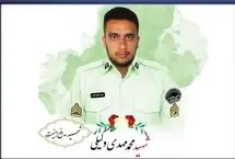 حکم قصاص قاتل شهادت مامور نیروی انتظامی در چهارباغ اجرا شد 