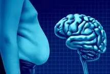 چربی بدن می‌تواند مغز را کوچک کند!